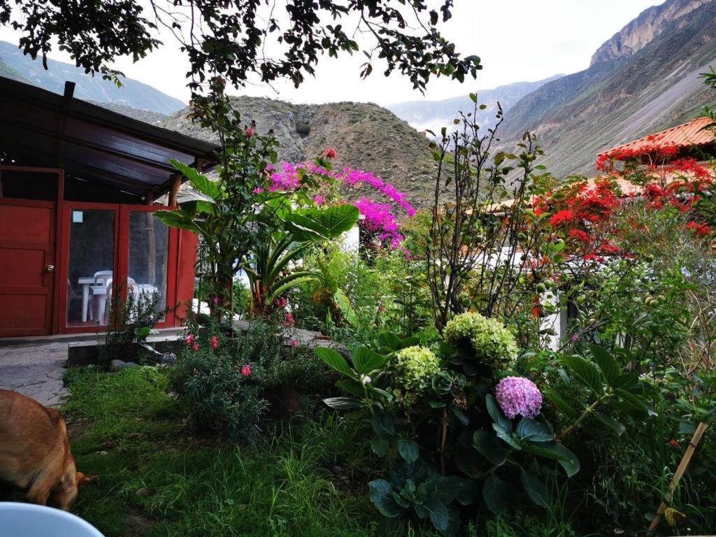 Villa Casa De Virginia Cabanaconde Exterior foto